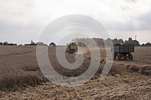 Combine harvesting crops