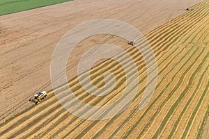 Combine Harvesting a Fall Corn Field