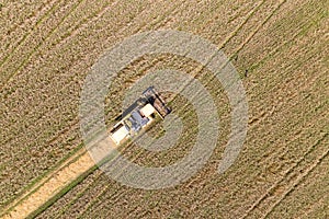 Combine Harvesting a Fall Corn Field Aerial