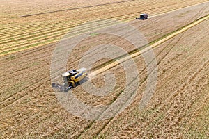 Combine Harvesting a Fall Corn Field