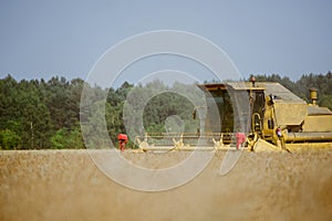 Combine harvesting the field