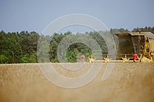 Combine harvesting the field