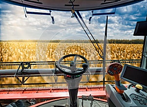 Combine harvesting the field. View through cabin of combine harvester in time harvesting wheat