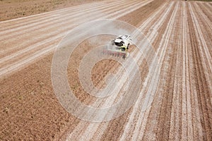 Combine harvesting genetically modified soya bean