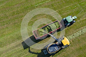 Combine harvesting a green field and unloads wheat for Silage onto a double trailer truck - Aerial image