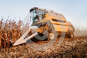 combine harvesting. Industrial agricultural machinery working the fields and harvesting corn crops