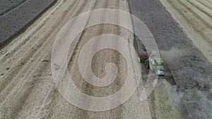 Combine harvesting rapeseed - aerial view by drone