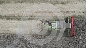 Combine harvesting rapeseed - aerial view by drone