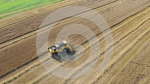 Combine Harvesting Ripe Barley Grains In Agricultural Field Aerial View
