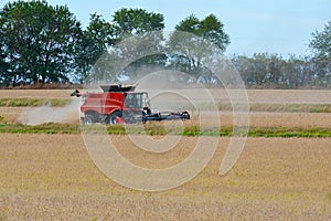 Combine harvesting soy beans