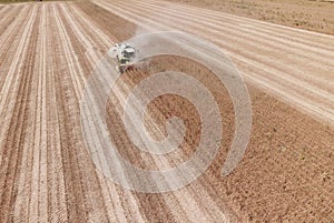 Combine harvesting soya bean field