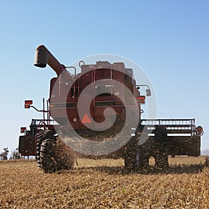 Combine harvesting soybeans.