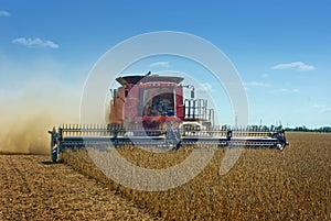 Combine Harvesting Soybeans