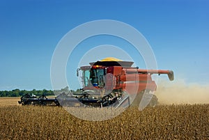 Combine Harvesting Soybeans