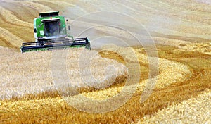 Combine harvesting wheat