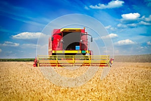 Combine harvesting wheat