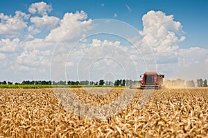 Combine harvesting wheat.