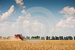 Combine harvesting wheat