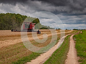 Combine harvesting wheat in the field.