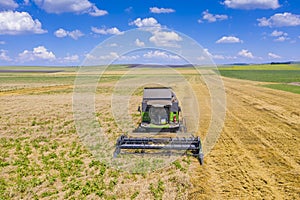 Combine harvesting wheat field