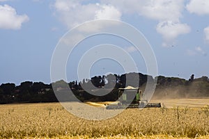 Combine harvesting Wheat field