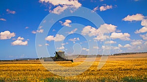 Combine harvesting Wheat field in Kfar Glikson Israel