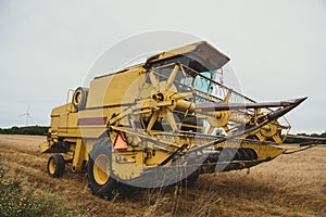 Combine harvesting wheat. Sumemr time. Agriculture background with copy space