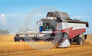 Combine harvesting working on the field