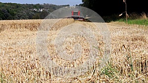 combine harvests a field in summer 4k 30fps video