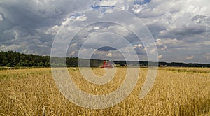 The combine harvests grain in the field, then