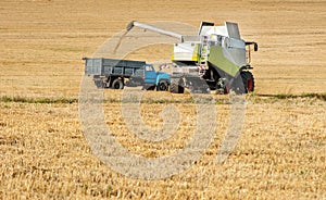 A combine harvests wheat and loads it into a dump truck during the late summer wheat harvest.