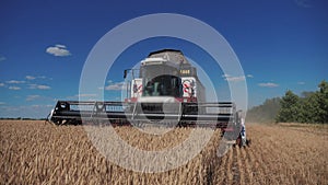 Combine lifestyle Harvester Cutting Wheat. slow motion video. agriculture harvest concept. Combine harvesting in field