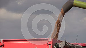 Combine load grain into trailer on cloudy sky background