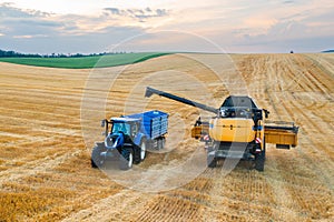 Combine reaper channels wheat grains into a waiting tractor trailer