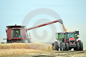 Combine and tractor harvesting wheat