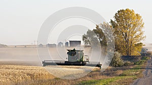 Combine in a wheat field