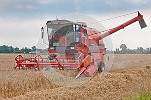 A combine at work in a cornfield