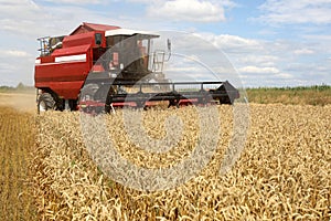 Combine working on a wheat field