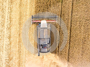 Combined harvester-thresher with tanker is at work on wheat field, top view