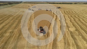 Combines in the field. Aerial view of harvesters. Season of gathering crops.