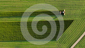 Combines in the field. Forage harvester on maize cutting for silage in field.