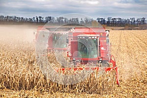 Combines during harvest corn