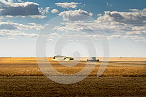 Combines harvest a wheat field in Rockyview County