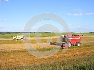 Combines harvester works at field, Belarus