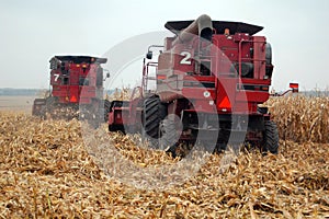 Combines are harvesting corn