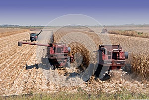 Combines Harvesting Corn