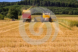 Combines harvesting grains and filling tractor trailer in summer on field