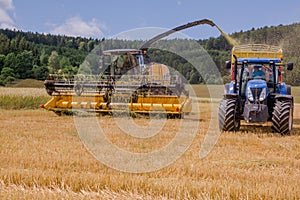 Combines harvesting grains and filling tractor trailer in summer on field