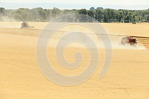 Combines harvesting a ripe wheat field.