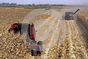 Combines Harvests Corn